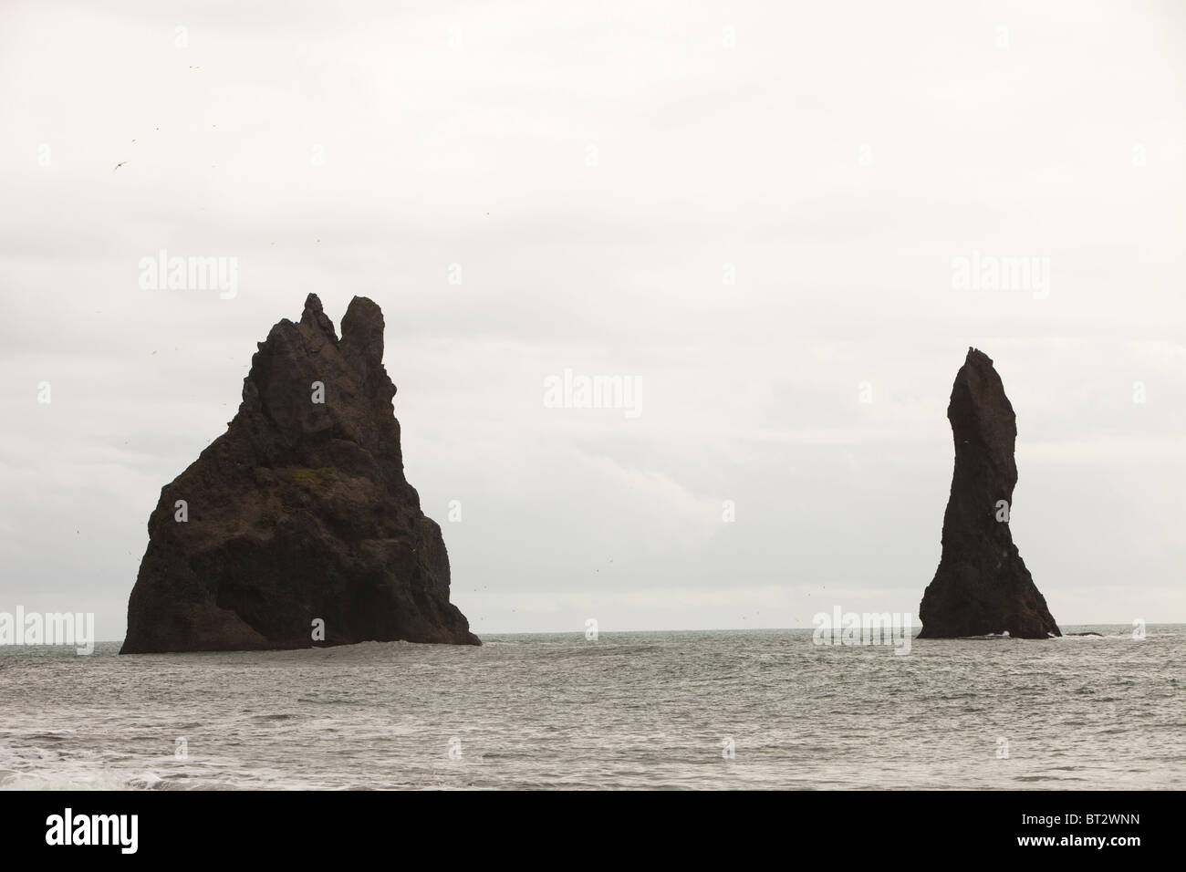 A sea stack at Vik on Iceland's south coast Stock Photo - Alamy