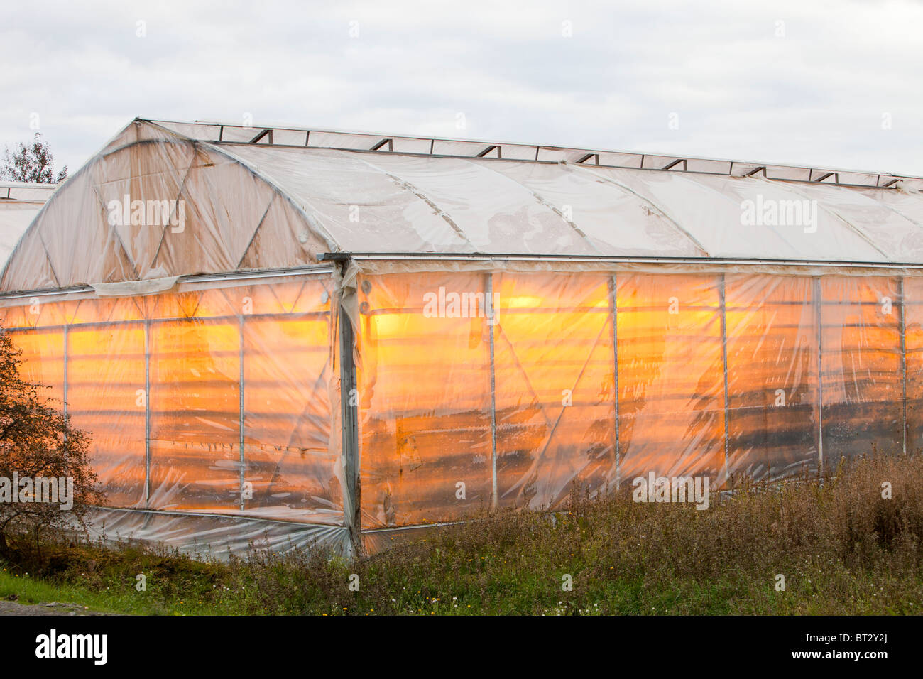 Greenhouses growing vegetables heated by geothermal heat near Geysir in