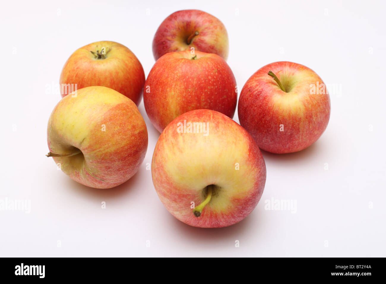 Apples are red on a white background, ripe, garden, grown in Germany Stock Photo