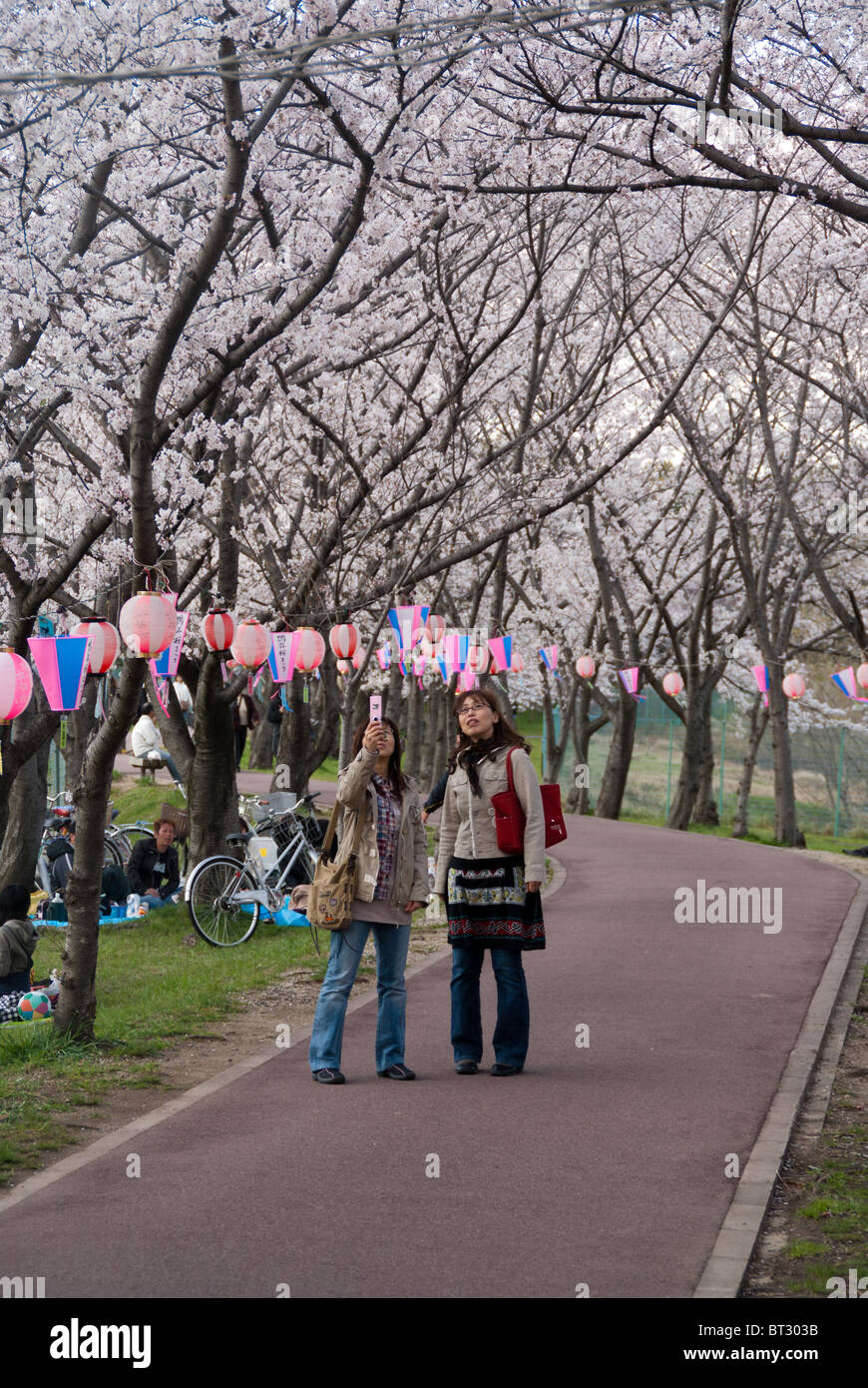 Two friends take a picture of the cherry blossoms while enjoying Hanami Stock Photo