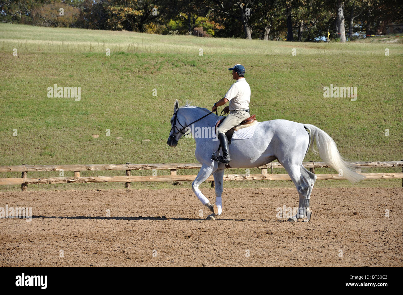 Man riding horse, Tyler, Texas, USA Stock Photo Alamy