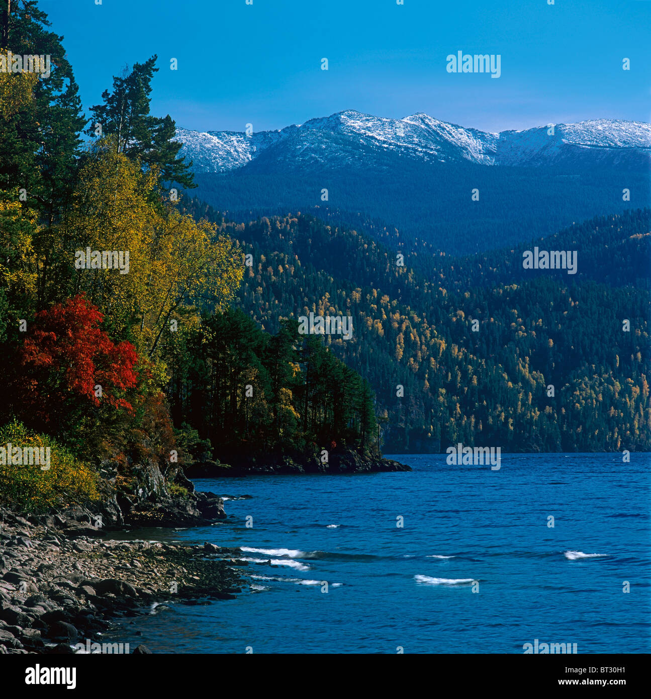 Teletskoye lake and the Corbu Ridge after snowfall, autumn colors. Altai. Siberia. Russia Stock Photo