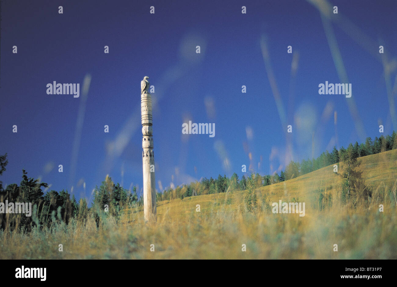 Shamanic post in Jakutia Siberia Russian Federation Stock Photo
