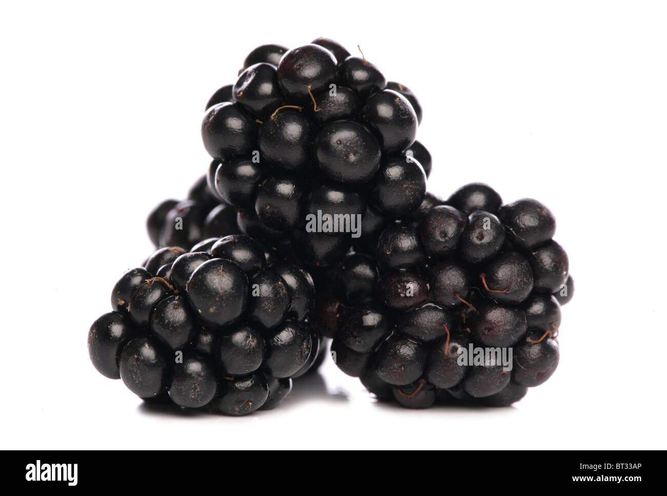 Blackberries fruit isolated studio cutout Stock Photo