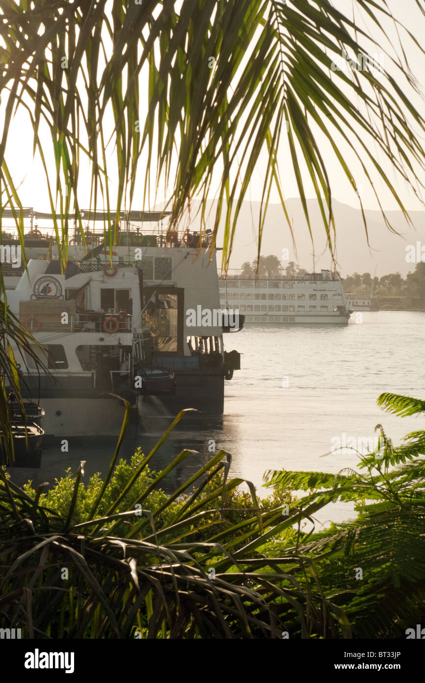 A cruise ship and palm trees on the River Nile at  Luxor, Upper Egypt, Africa Stock Photo