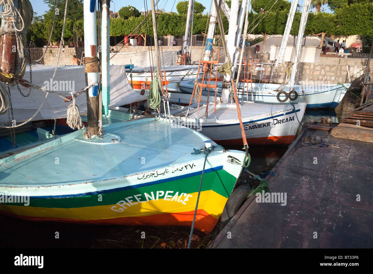 A felucca in the colours of Greenpeace moored on the river Nile at Luxor, Upper Egypt Stock Photo