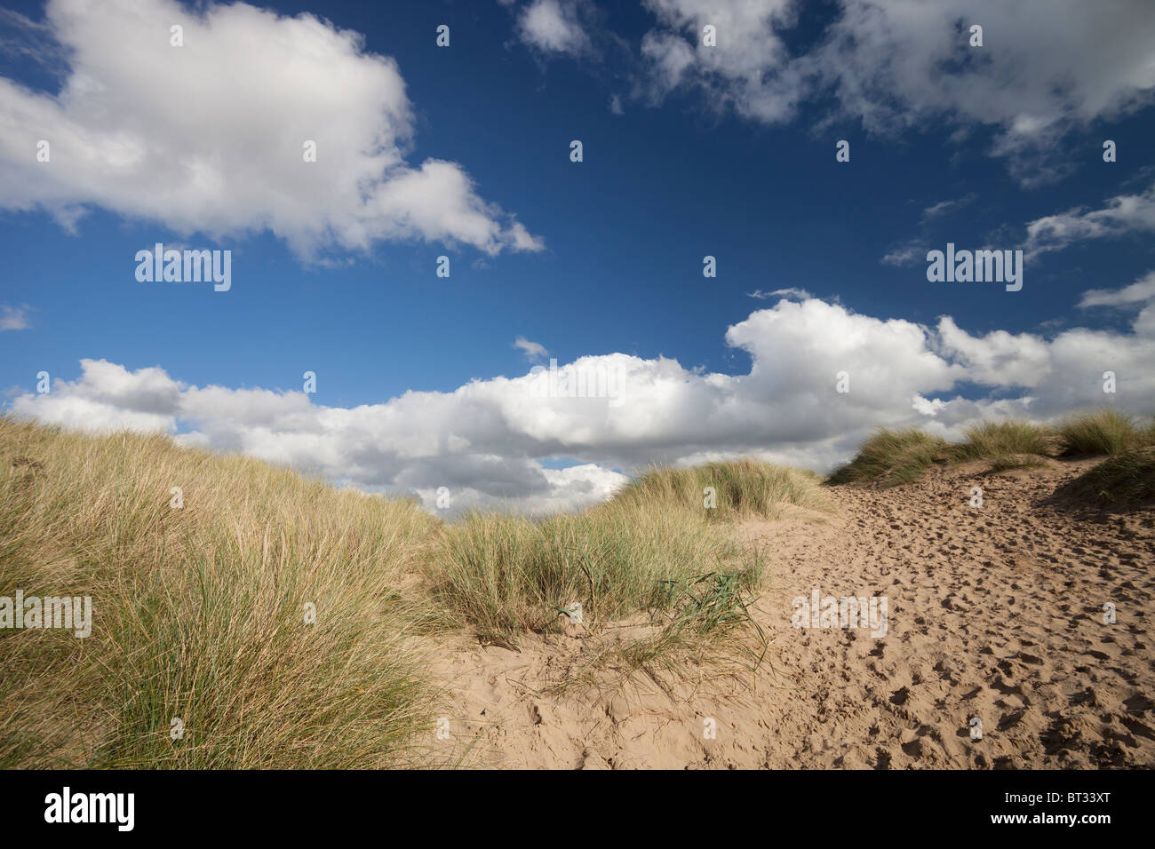 The Ainsdale Sandhills Local Nature Reserve adjacent to the beach at