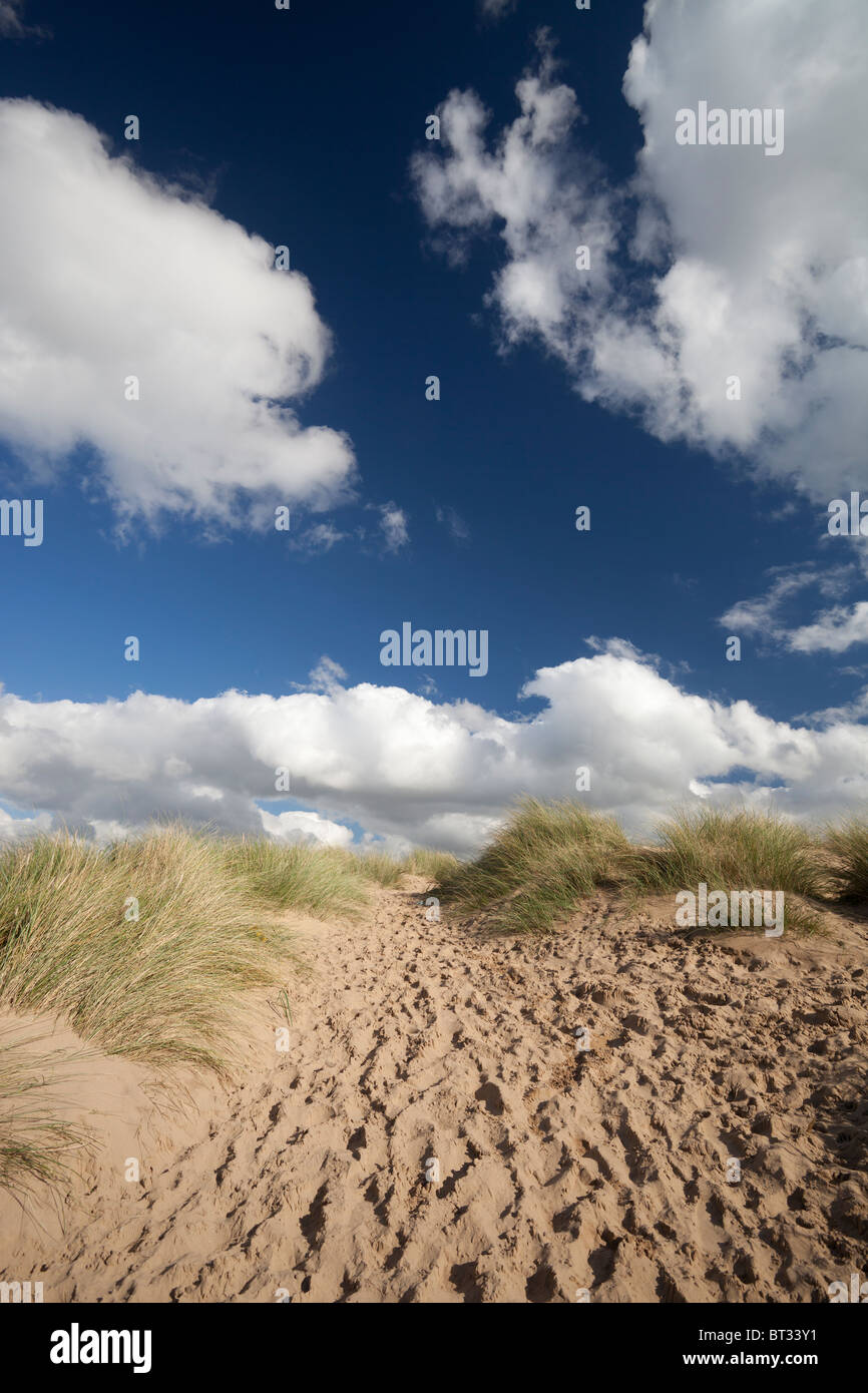 The Ainsdale Sandhills Local Nature Reserve adjacent to the beach at Ainsdale, south of Southport, UK. The Site is also a: SSSI, SAC and Ramsar site. Stock Photo