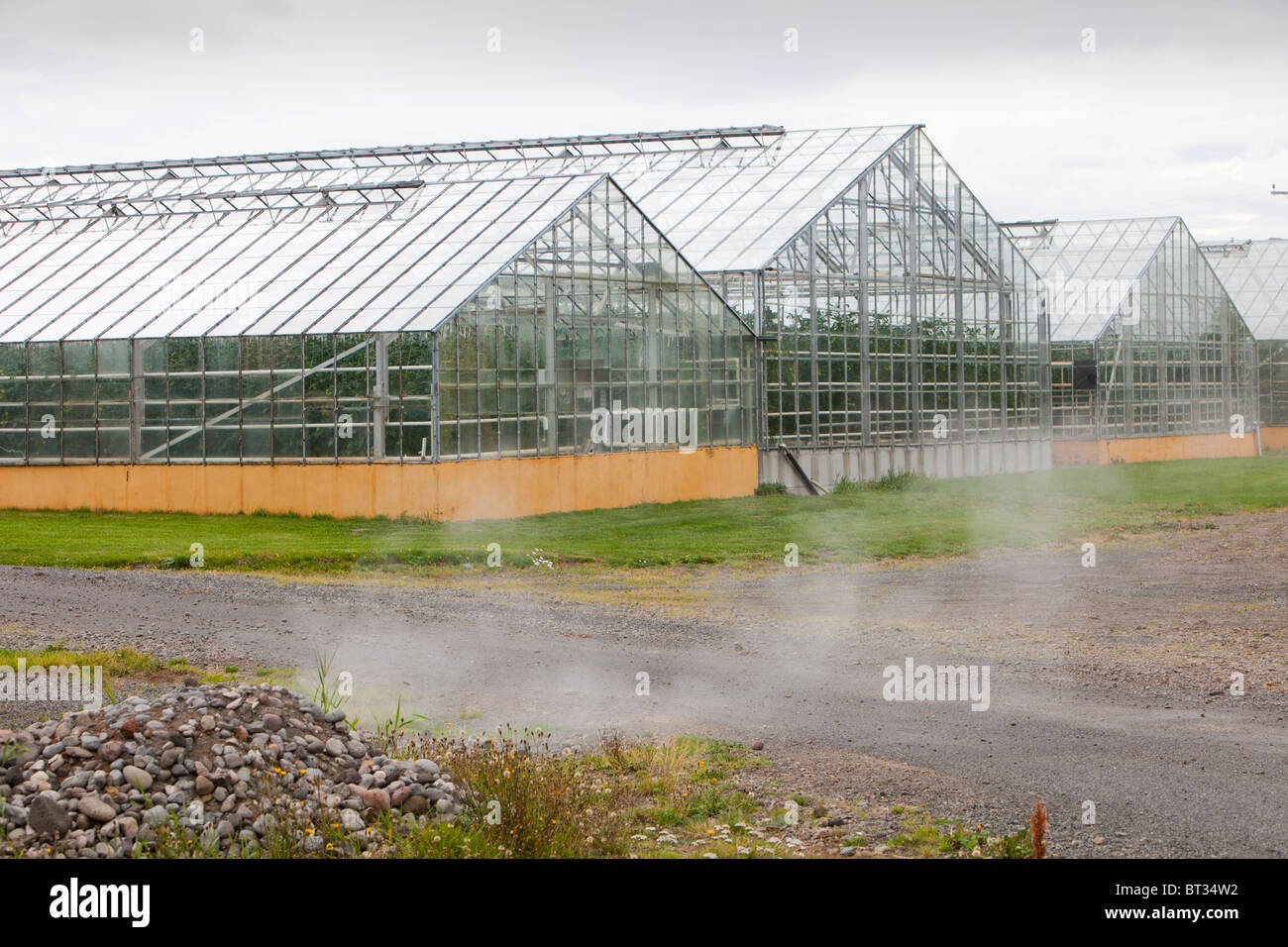Greenhouses Growing Tomatoes Heated By Geothermal Hot Water Near greenhouses-growing-tomatoes-heated-by-geothermal-hot-water-near