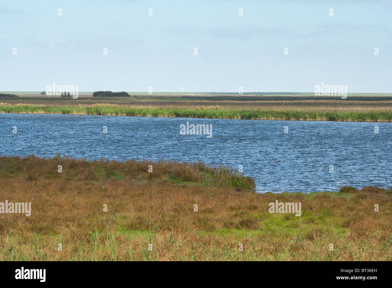 flood plain of the north sea Stock Photo