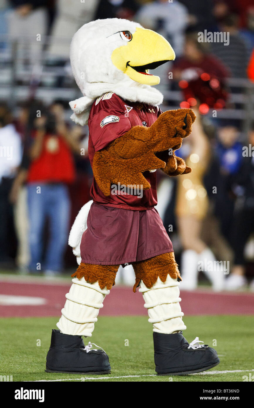 Boston College Eagles mascot on the field at Alumni Stadium, Chestnut