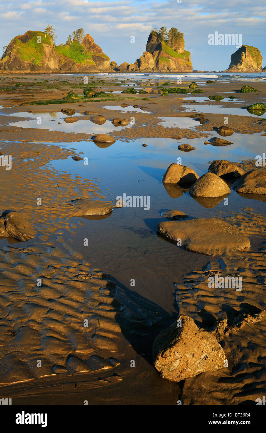 Pools of water at low tide, Point of the Arches, Shi Shi beach, Olympic