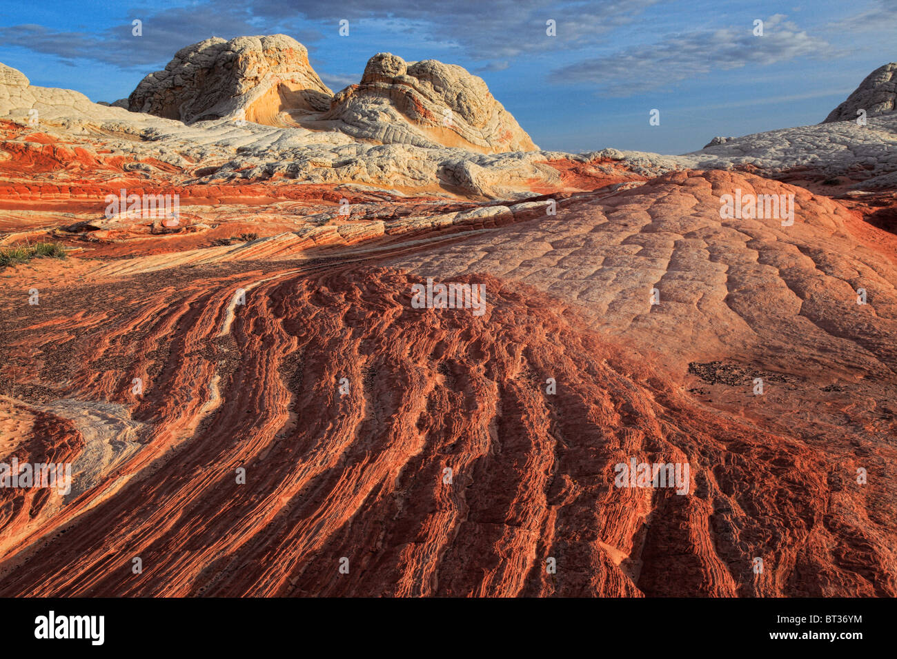 Sandstone ridges at White Pocket in Vermilion Cliffs National Monument, Arizona Stock Photo