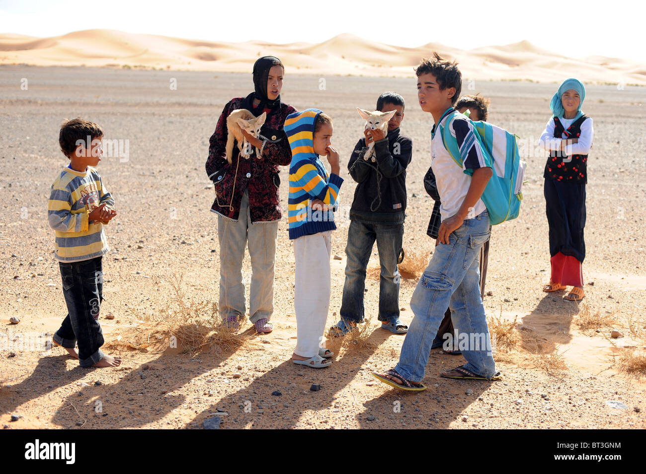 Edge of the sahara desert hi-res stock photography and images - Alamy