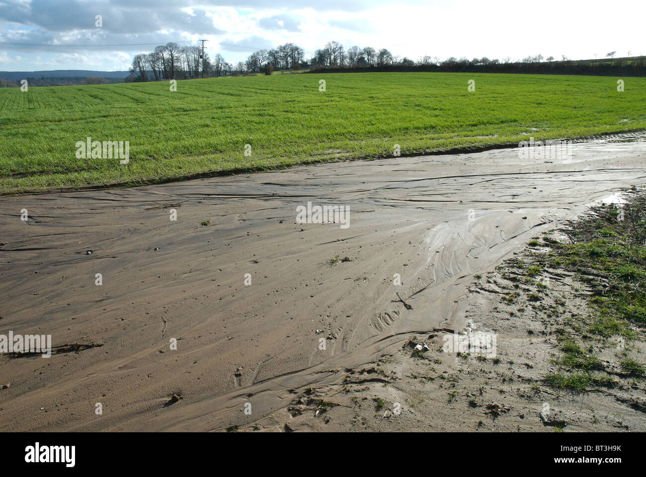 Modern farming methods with intensive irrigation causing soil erosion in Sussex Stock Photo