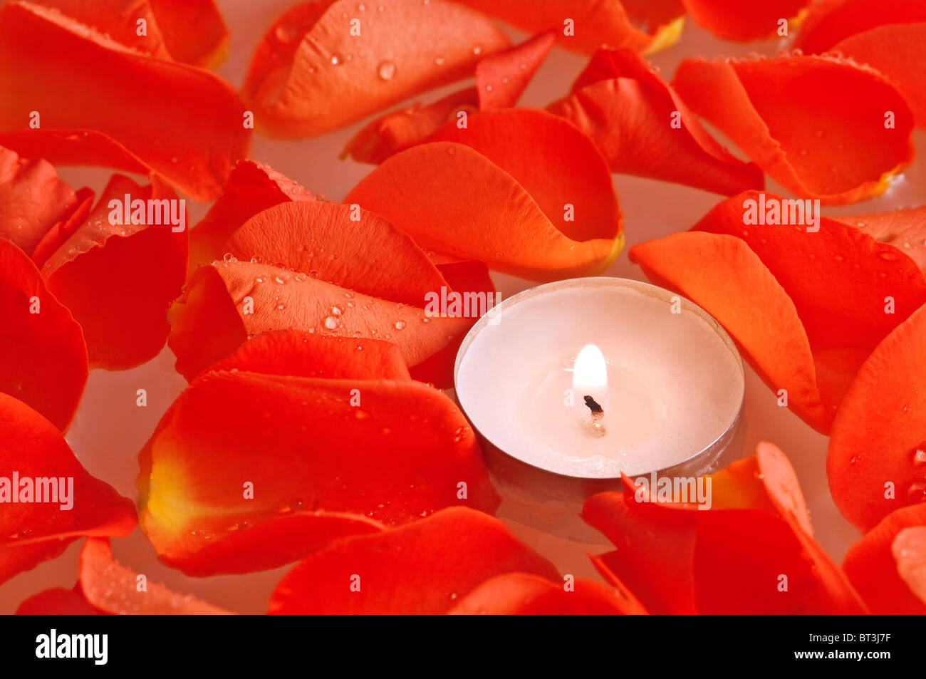 candle and rose petals in water Stock Photo Alamy