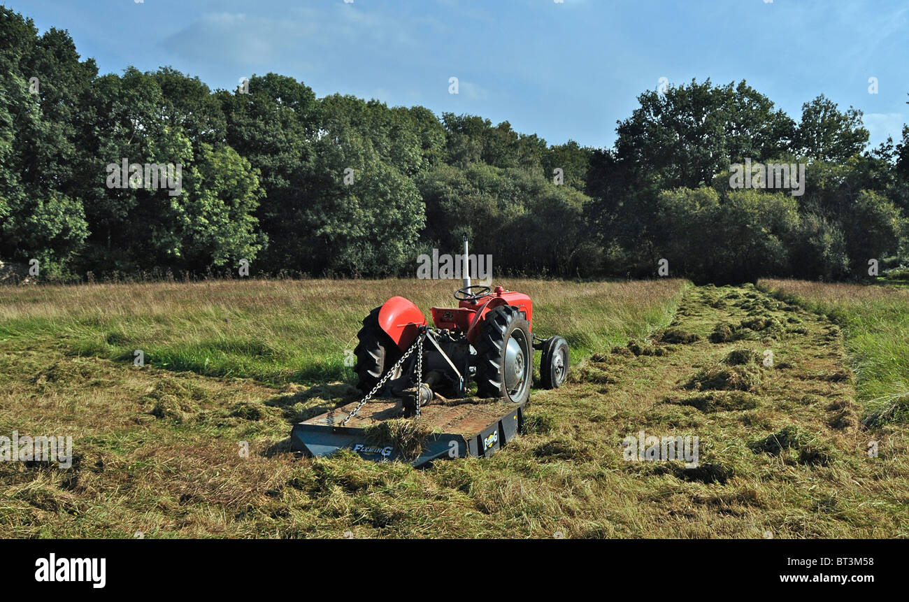 A 1956 MF35 tractor still working in Sussex Stock Photo