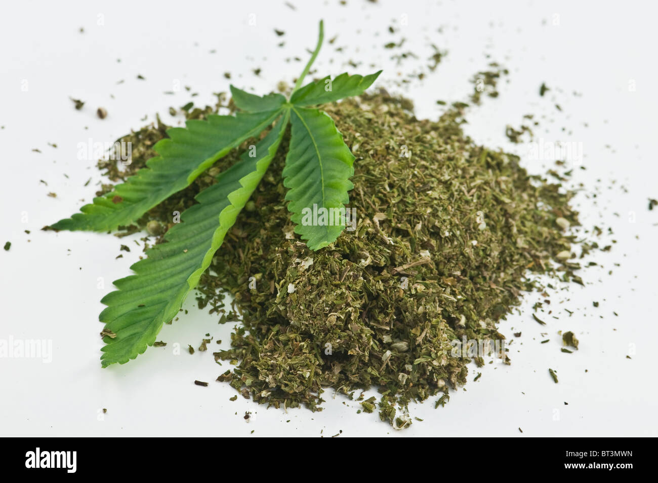 dry marijuana and green leaf Stock Photo