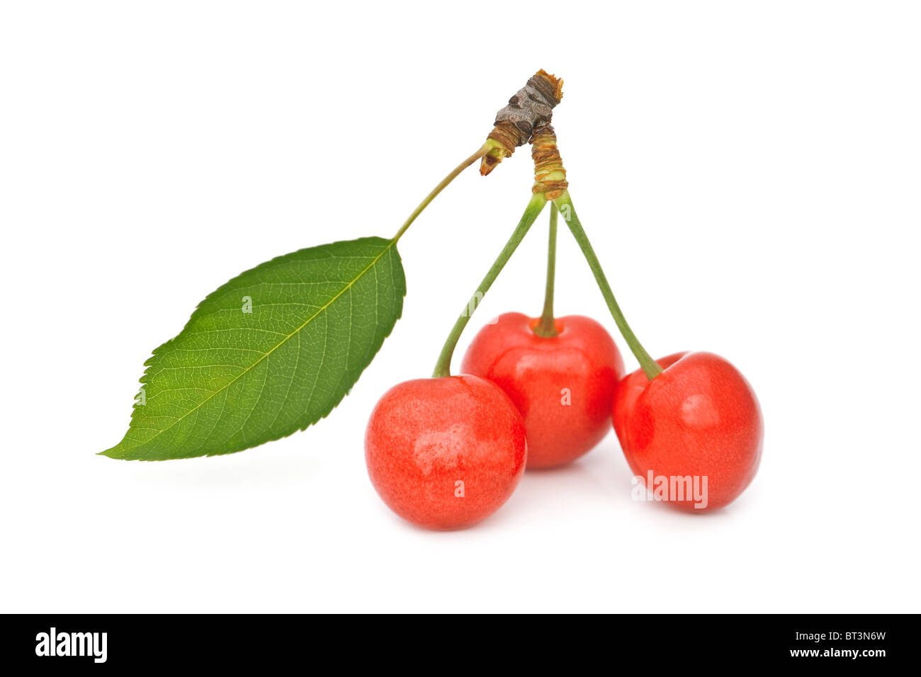 ripe red cherry with leaf isolated Stock Photo - Alamy