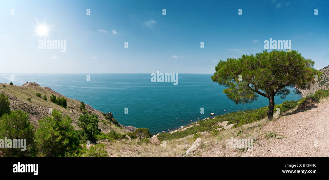 sea, pine and mountain landscape Stock Photo