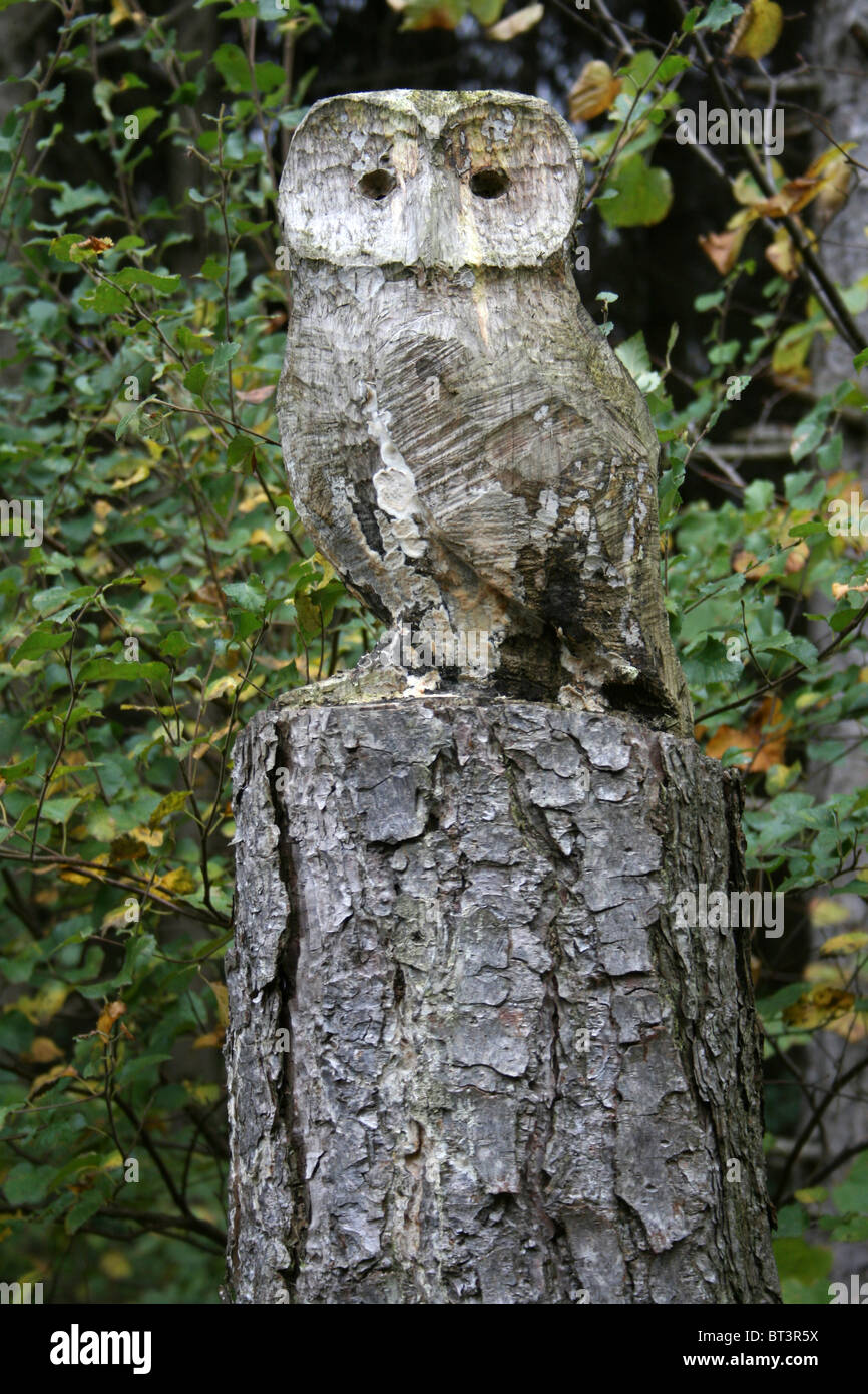 Carved Wood Owl Taken At Chambers Farm Wood, Lincolnshire, UK Stock Photo