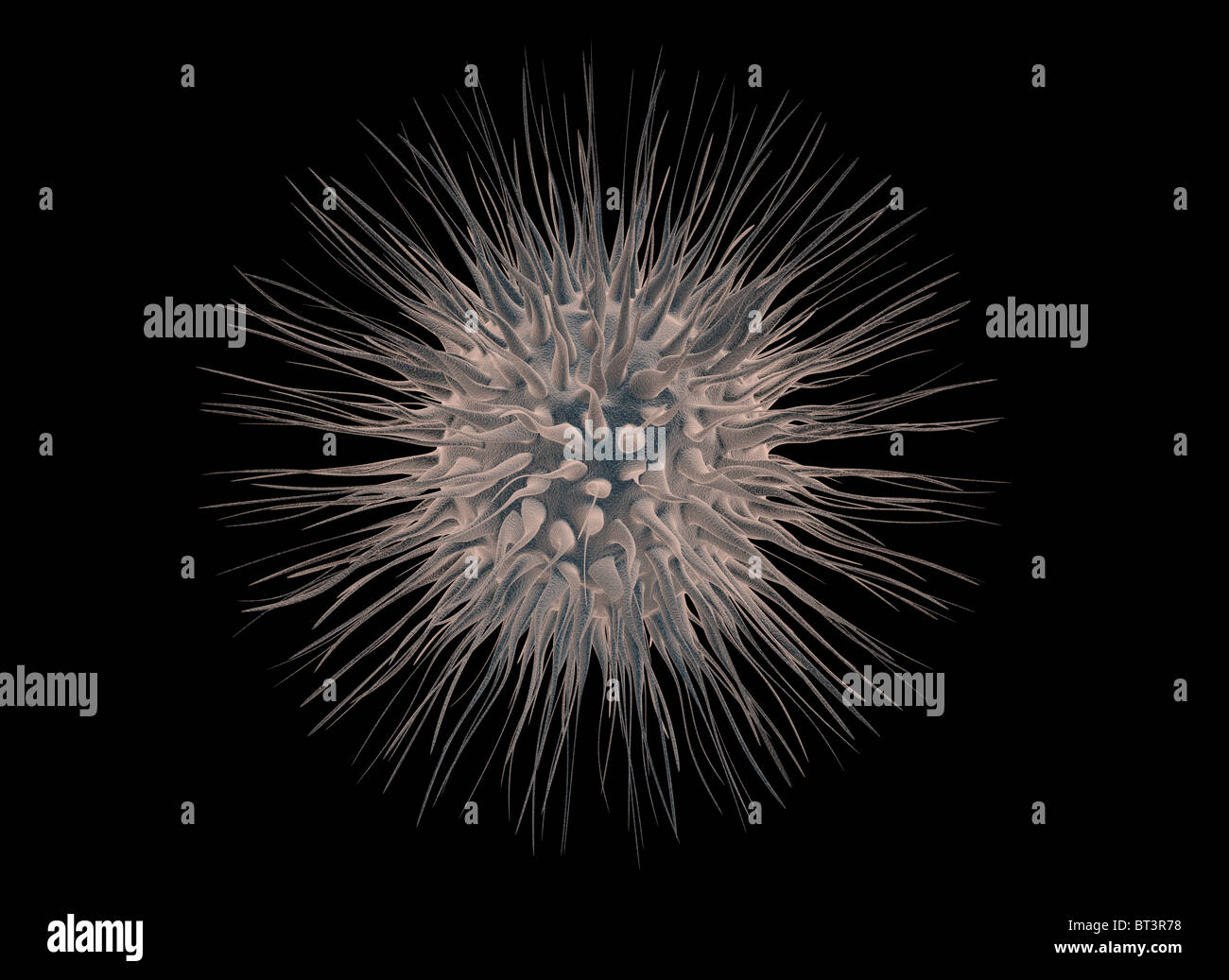 Virus 3d illustration isolated on black background Stock Photo - Alamy