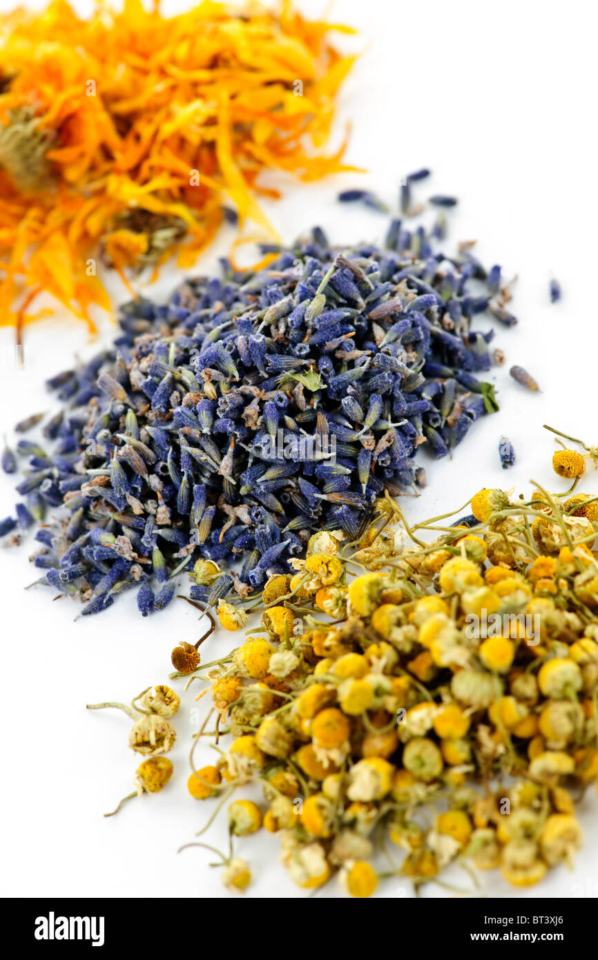 Piles of dried medicinal herbs camomile, lavender, calendula on white