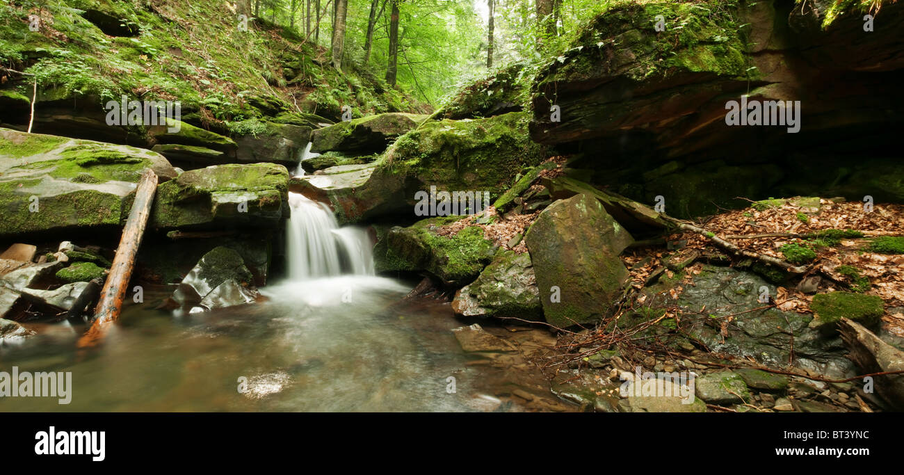 View of Waterfall in rainforest river tropical hi-res stock photography and ...