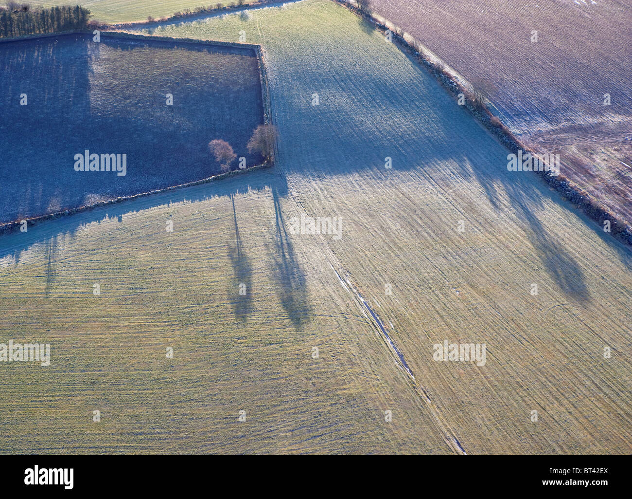 Aerial photo of Jæren pastures. Sandnes, Rogaland, Norway Stock Photo ...