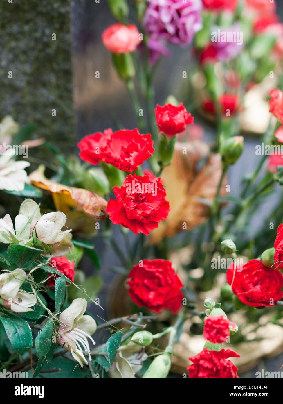 flowers on grave Stock Photo Alamy