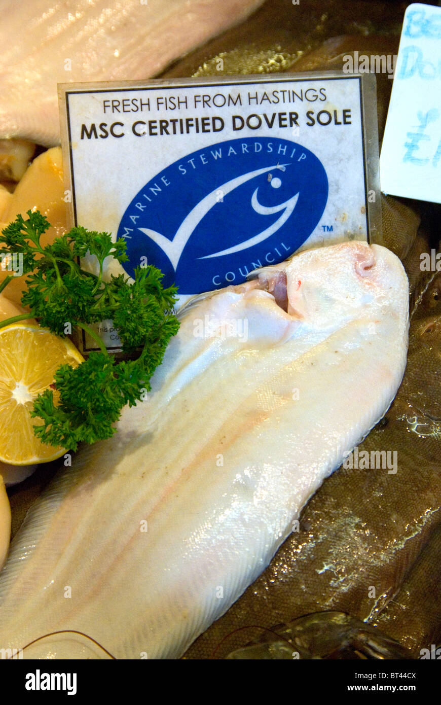 Fresh Hastings fish Marine Stewardship Council MSC certified sustainable Dover sole on sale at Rock-a-Nore Fisheries Hastings Stock Photo