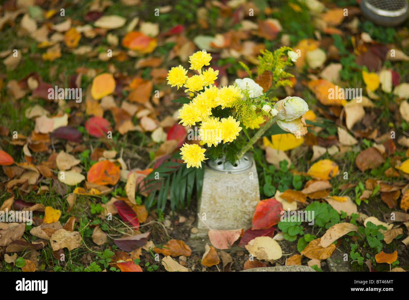 Flowers On Grave High Resolution Stock Photography and Images Alamy