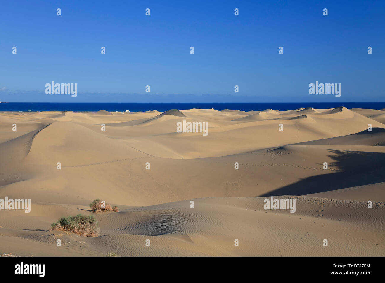 Canary Islands Gran Canaria Playa Del Ingles Maspalomas Sand Dunes National Park Stock Photo