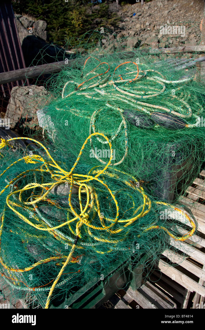 coddon of fishing nets Net. 10-foot x 5-Foot Net Made 3/4" Squares Individually Knotted from Twisted Cotton/Nylo : Garden Twist Ties : Sports & Outdoors Built for anglers who push their gear to the limit Delta Net & Twine