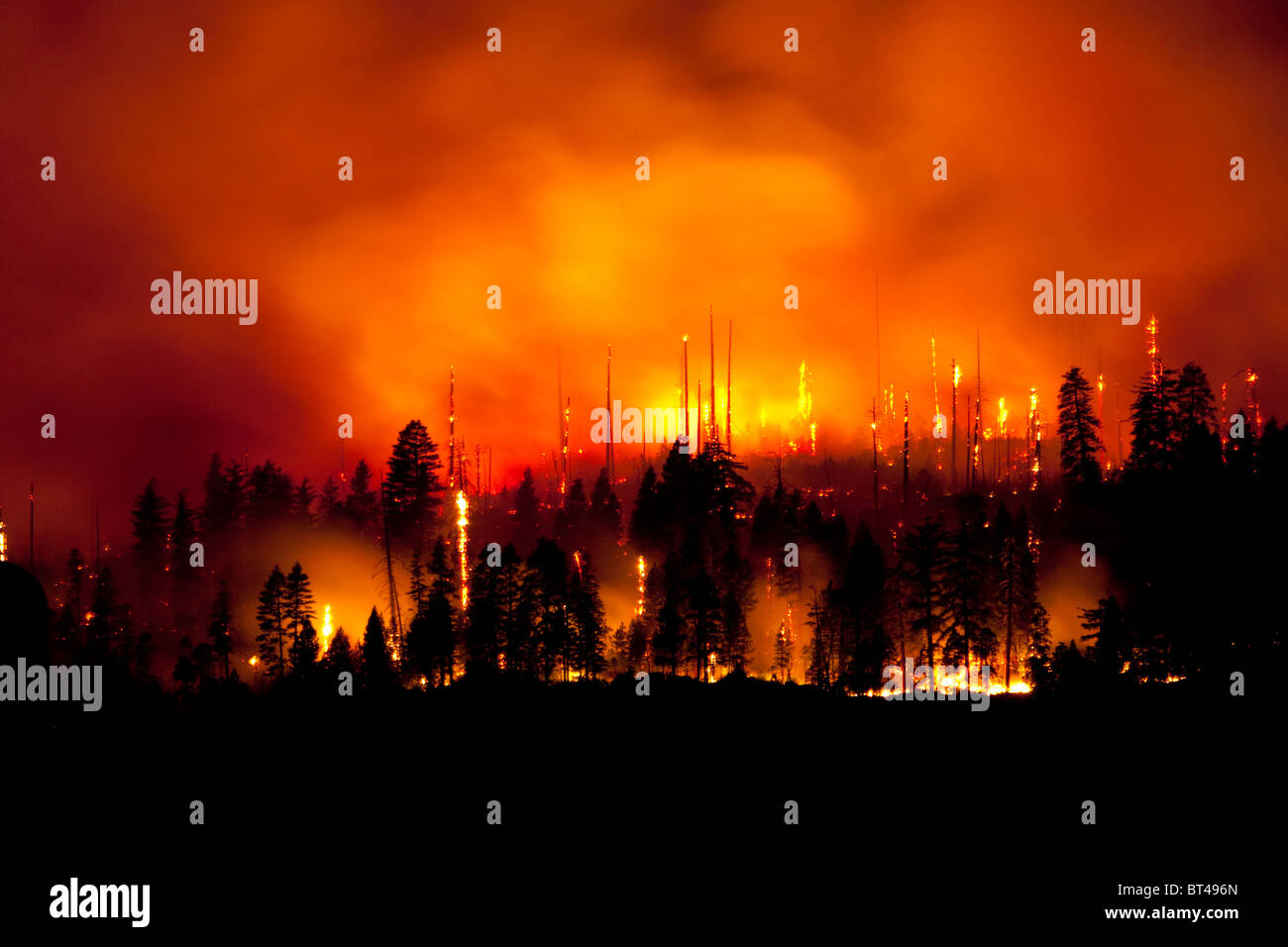 Wildfire hires stock photography and images Alamy