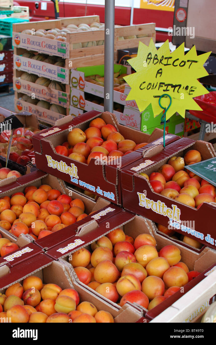 Fresh apricots for sale for jammaking in market in Brittany, France