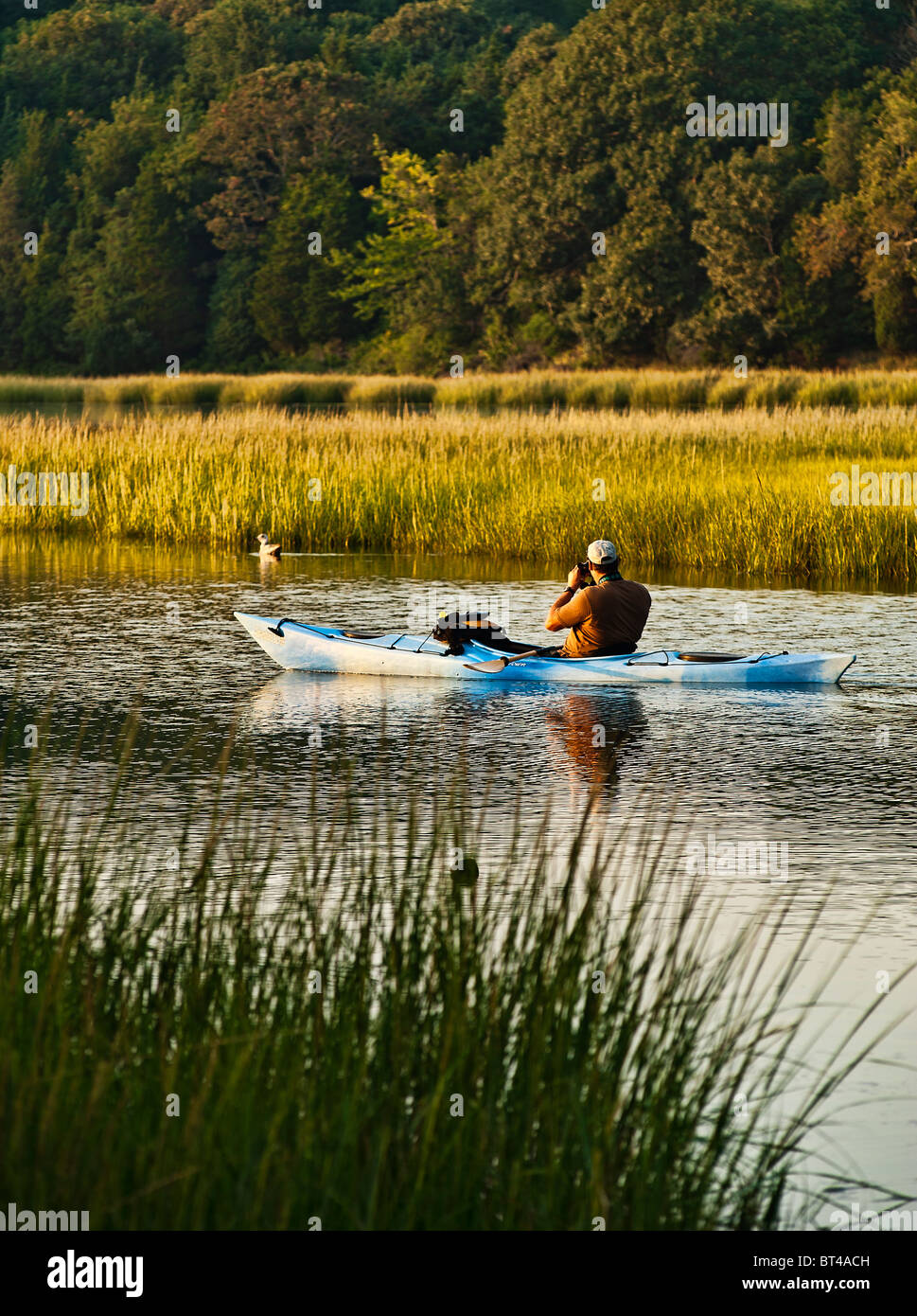 Man observing bird from a kayak, Eastham, Cape Cod, MA Stock Photo Alamy