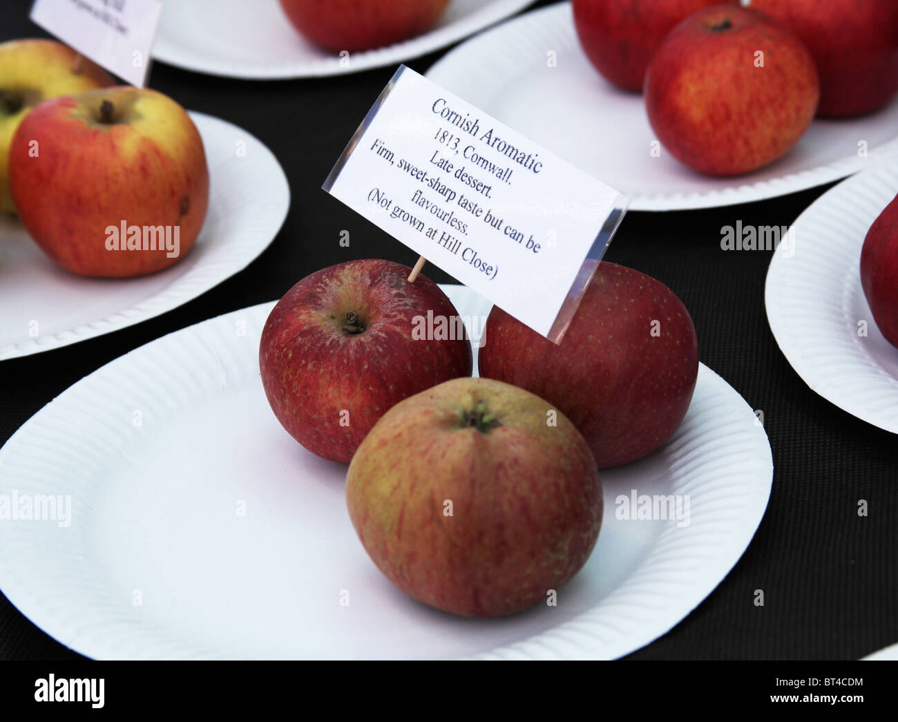 Cornish Aromatic Rare Apple Variety Stock Photo Alamy