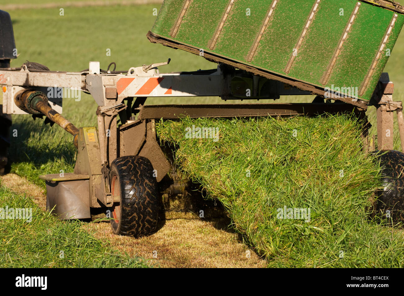 Mowing second cut grass with front and rear mounted mower conditioners