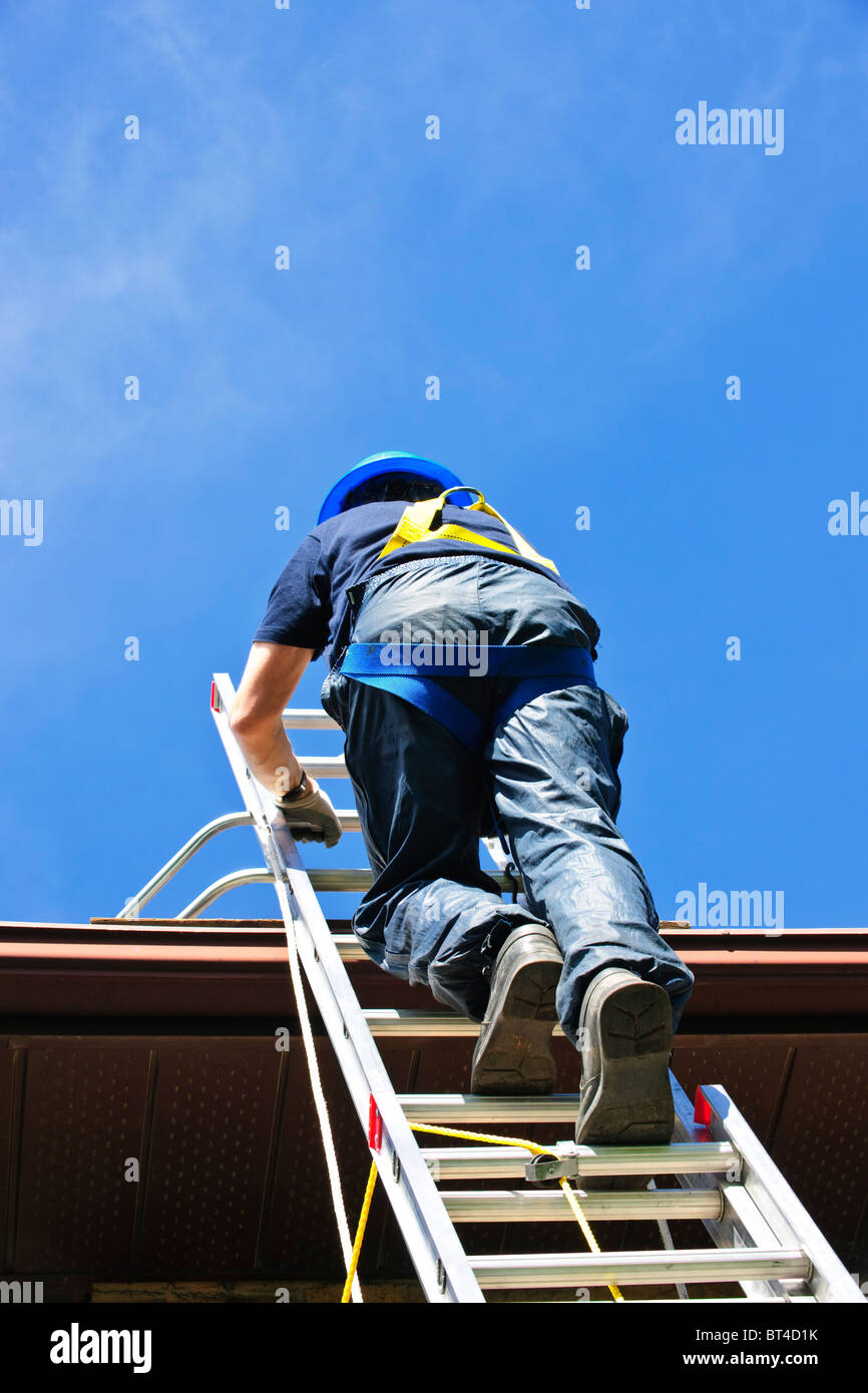 Construction worker climbing extension ladder to roof Stock Photo Alamy