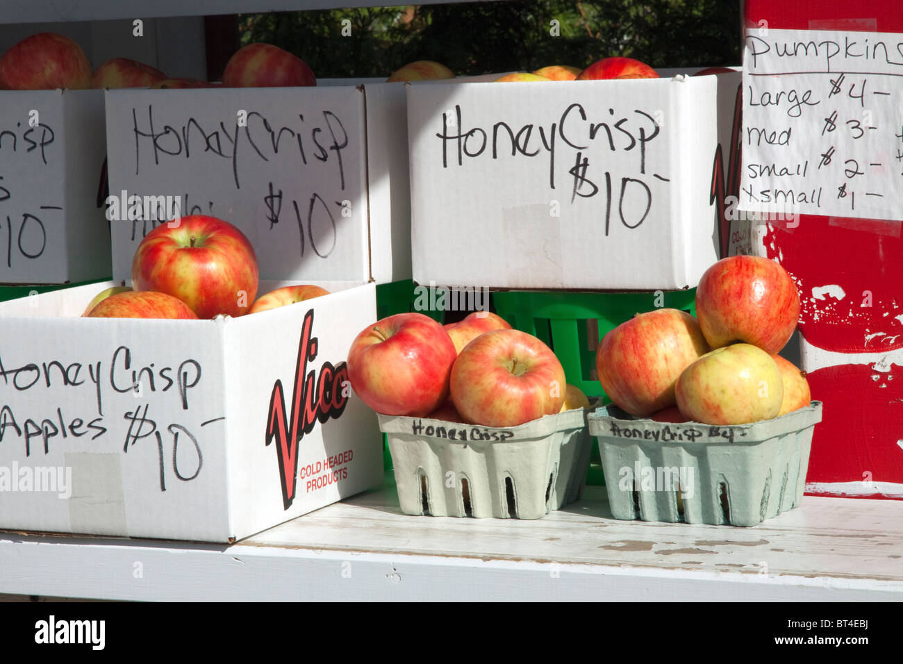 Honeycrisp Apples for sale at Roadside Farm stand Michigan USA, by