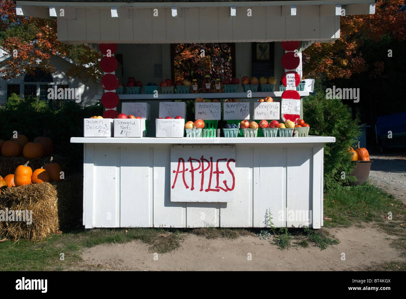 Honeycrisp Apples for sale at Roadside Farm stand Michigan USA, by James D Coppinger/Dembinsky Photo Assoc Stock Photo