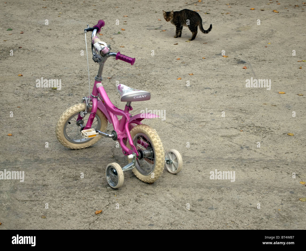 small pink bike
