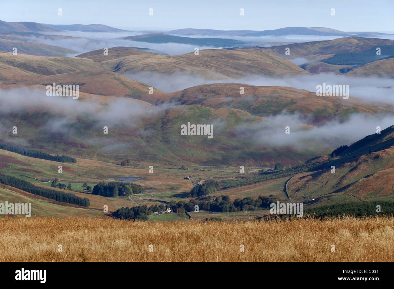 Morning fog in valleys north of Ettrick Pen, Southern Uplands, Scotland Stock Photo