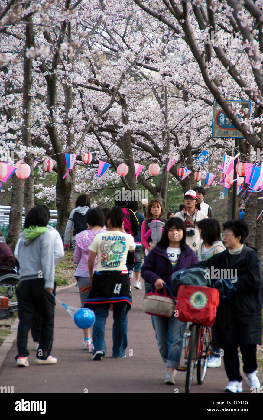 A crowd of people enjoying a cherry blossom festival (hanami) in Japan Stock Photo