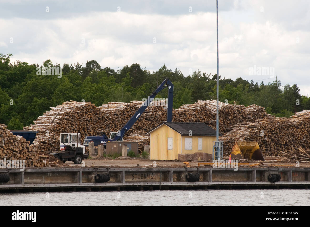 timber industry wood log logs trees yard logging export exporting