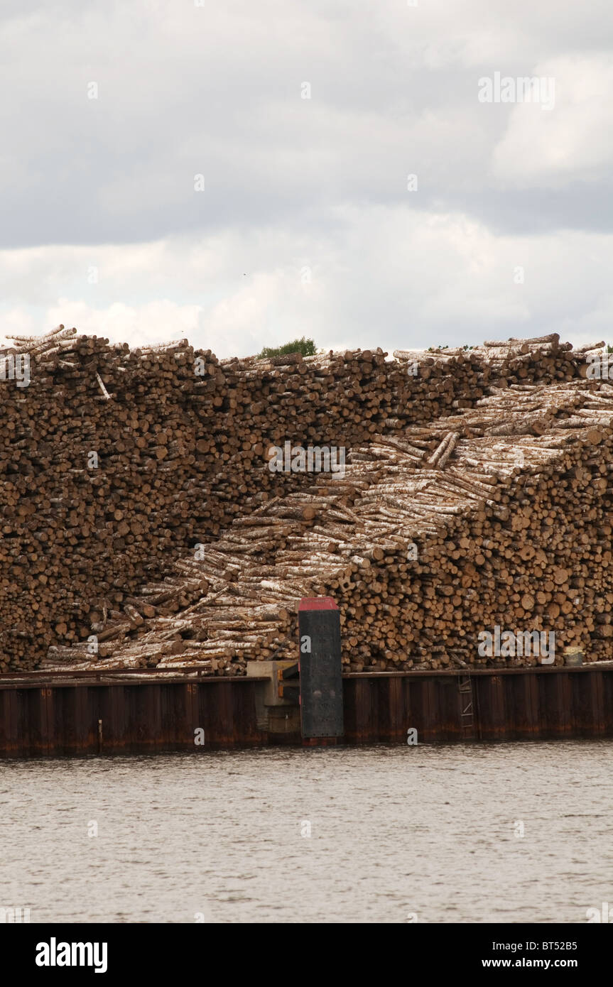 timber industry wood log logs trees yard logging export exporting