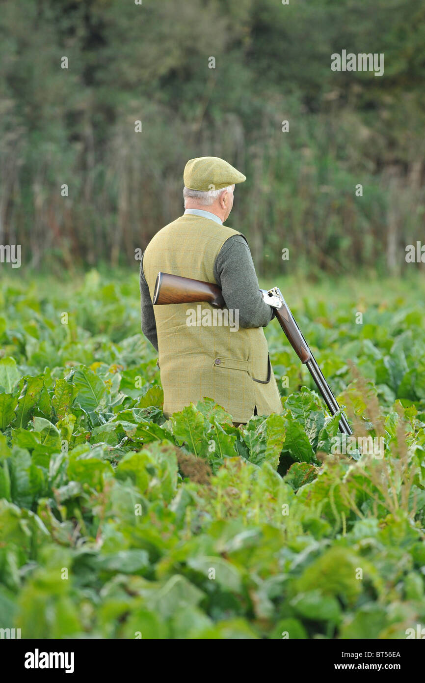man carrying shotgun in kale field on a pheasant shoot Stock Photo