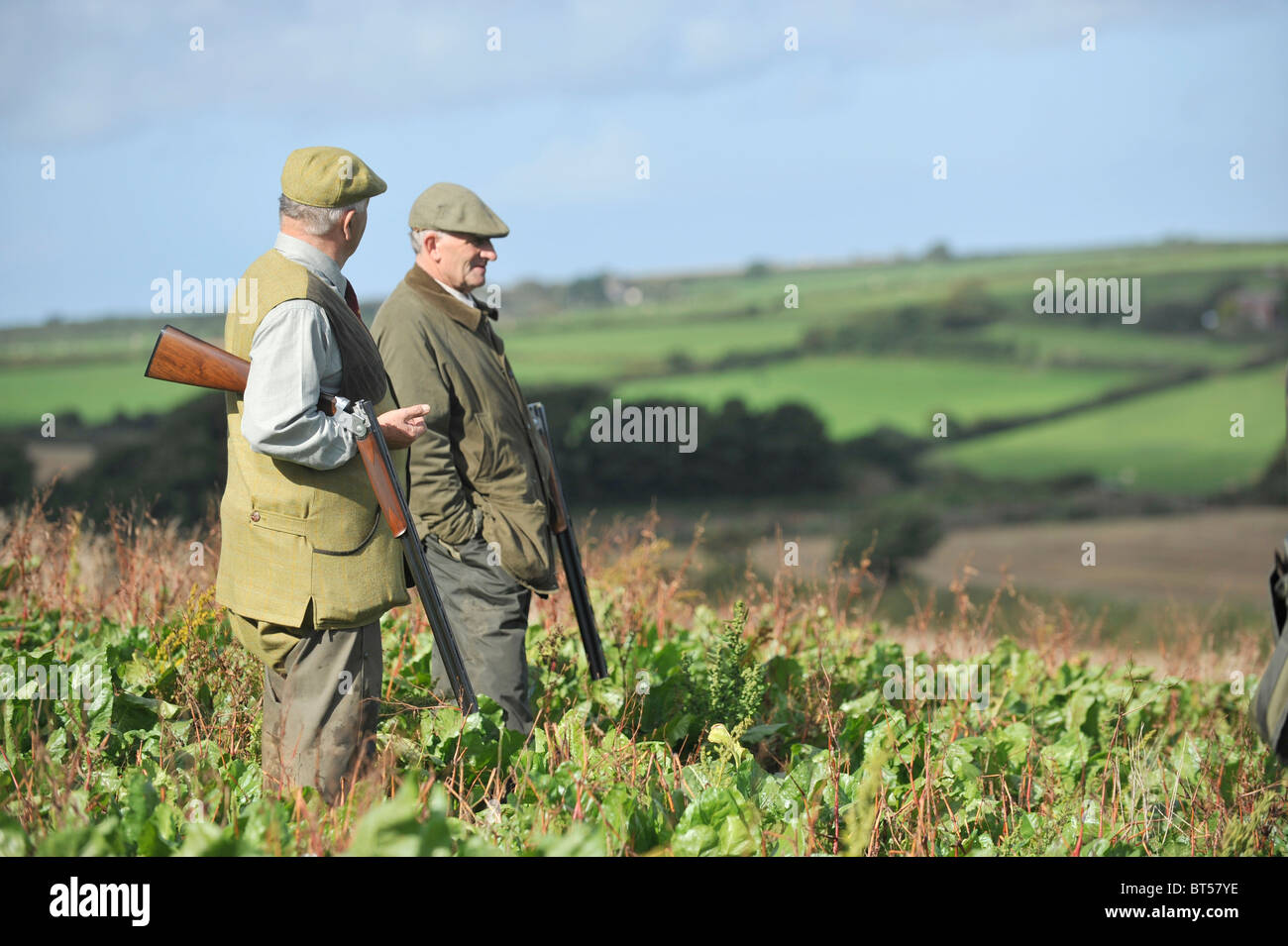 two rough shooters in kale Stock Photo