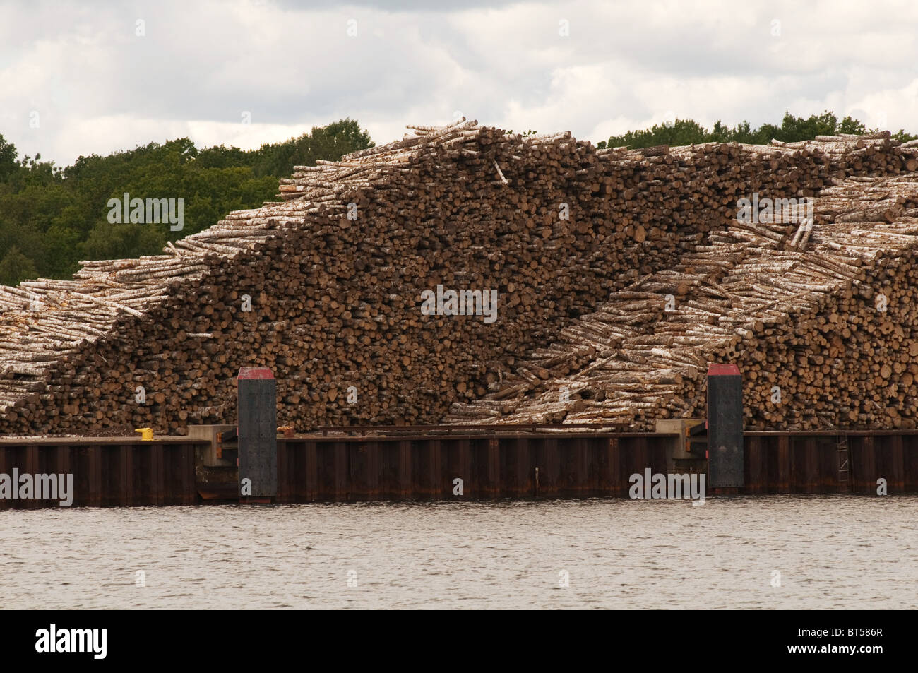 timber industry wood log logs trees yard logging export exporting
